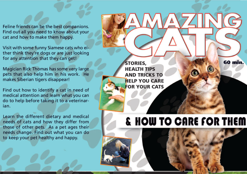 Amazing Cats & How to Care for Them