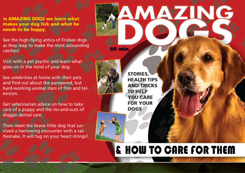 Amazing Dogs & How to Care for Them