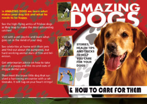 Amazing Dogs & How to Care for Them